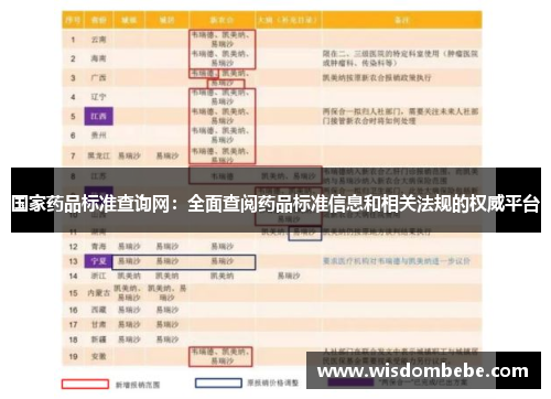 国家药品标准查询网：全面查阅药品标准信息和相关法规的权威平台